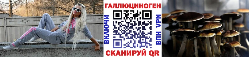 omg вход  Сорочинск  Галлюциногенные грибы GOLDEN TEACHER 
