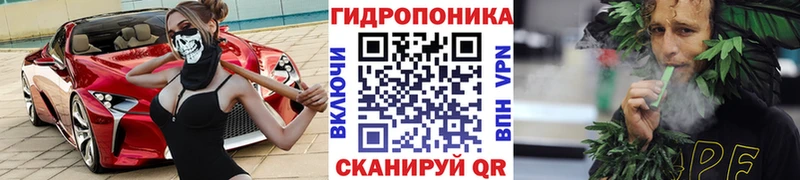 shop состав  Сорочинск  Бошки марихуана индика 